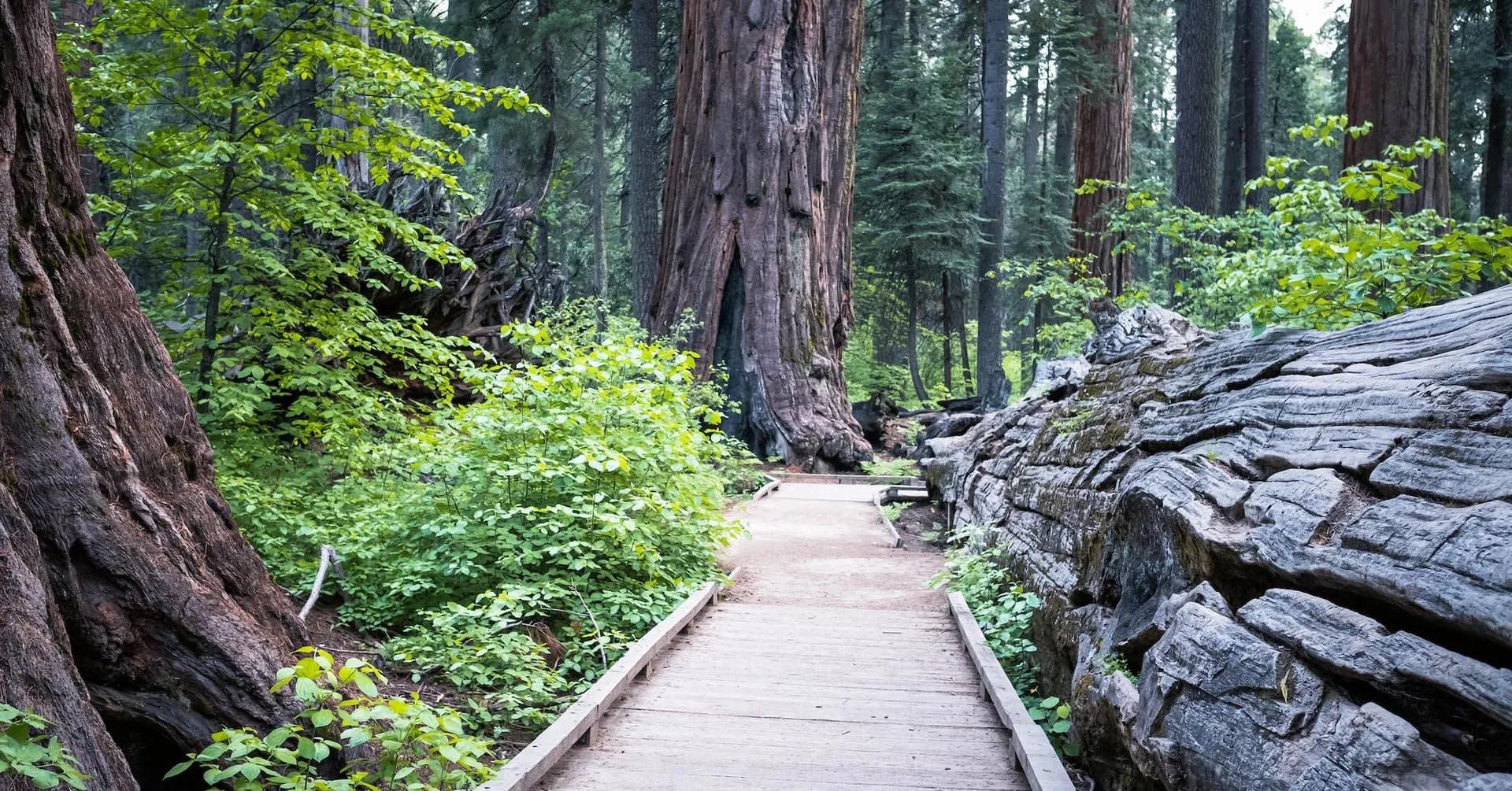 Hiking trail near an Arnold vacation rental in the Sierra Nevada mountains during summer